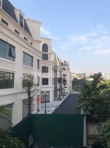 6003068 ảnh đại diện 1