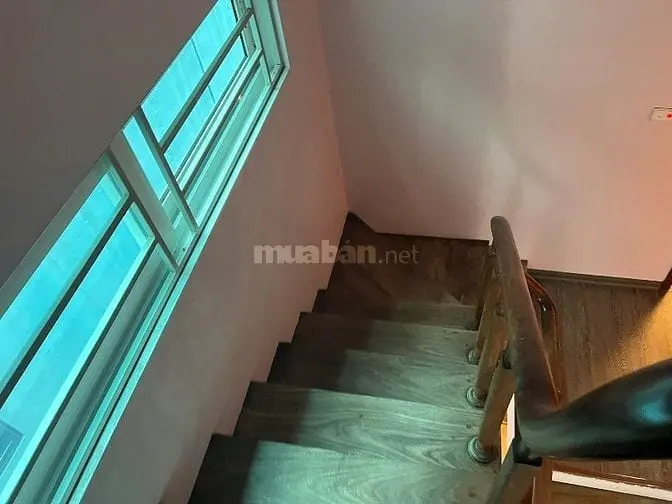 6002668 ảnh đại diện 1