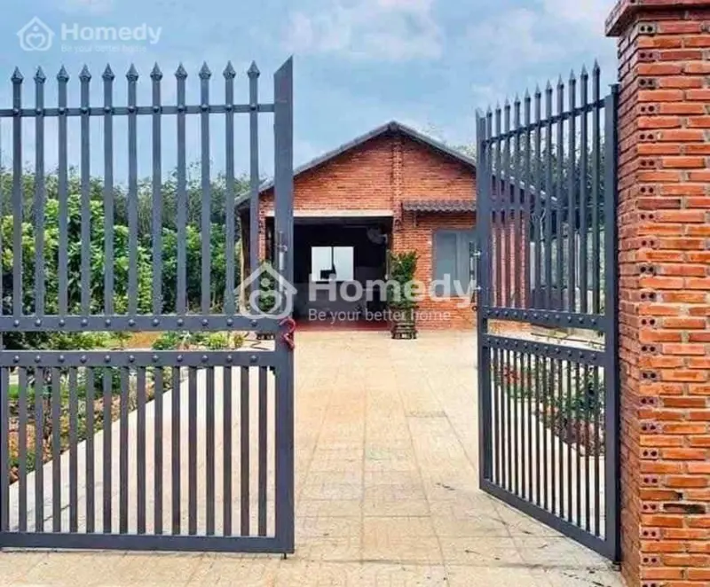 Cần Bán Nhanh Nhà Vườn, Đất Tại Chơn Thành Diện Tích Hơn 2000M2 Có Sẵn 100M Thổ Cư.