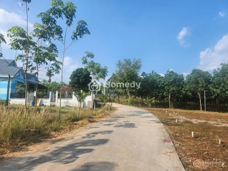 Trời Ơi,Tin Được Không,Chỉ Với 250 Triệu Là Bạn Đã Mua Được Đất Hcm Ngay Khu Chợ