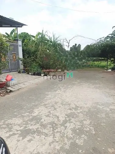 Đất Tái Định Cư Phường Tân Hạnh Dt: 100M, 1Tỷ1