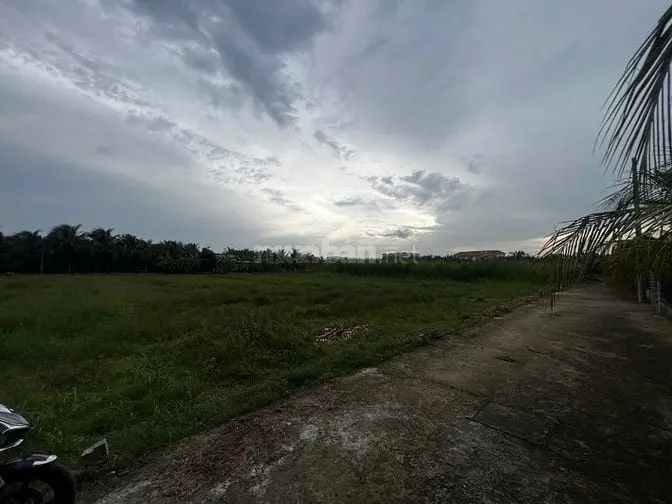 6002679 ảnh đại diện 1