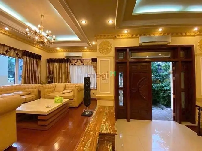 6002429 ảnh đại diện 1