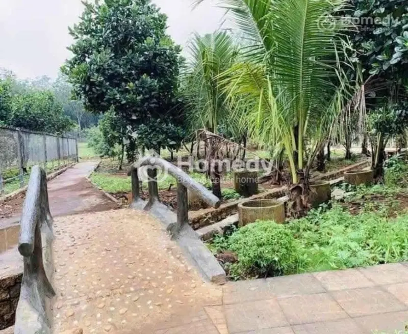 Cần Bán Nhanh Nhà Vườn, Đất Tại Chơn Thành Diện Tích Hơn 2000M2 Có Sẵn 100M Thổ Cư.