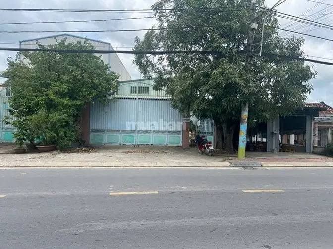 6002448 ảnh đại diện 1