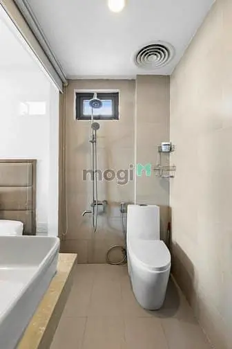 6002755 ảnh đại diện 1