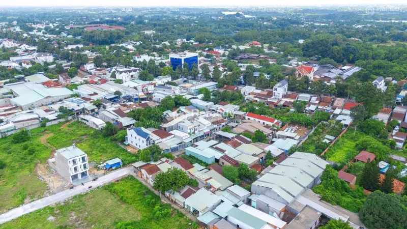 6002813 ảnh đại diện 1