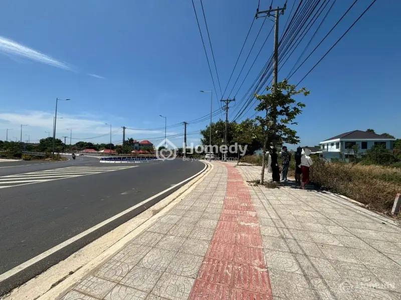 6003026 ảnh đại diện 1