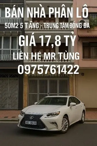 6002639 ảnh đại diện 1