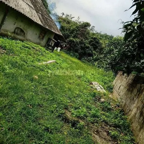 8000M Đất Trong Đó 500M Thổ Cư Giá 25 Tỷ