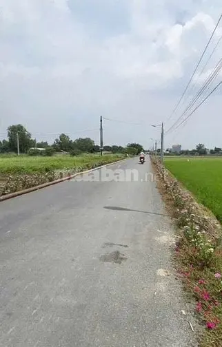 6002792 ảnh đại diện 1