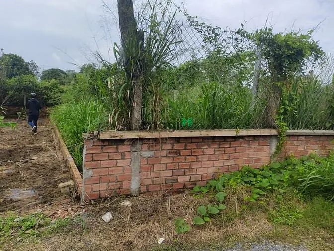 6002592 ảnh đại diện 1