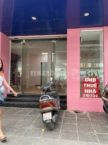 6002780 ảnh đại diện 1