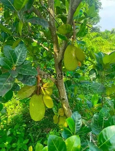 6002417 ảnh đại diện 1