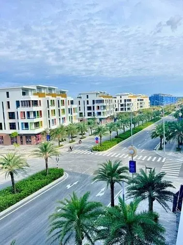 6002694 ảnh đại diện 1