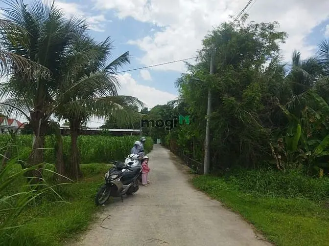 6003391 ảnh đại diện 1