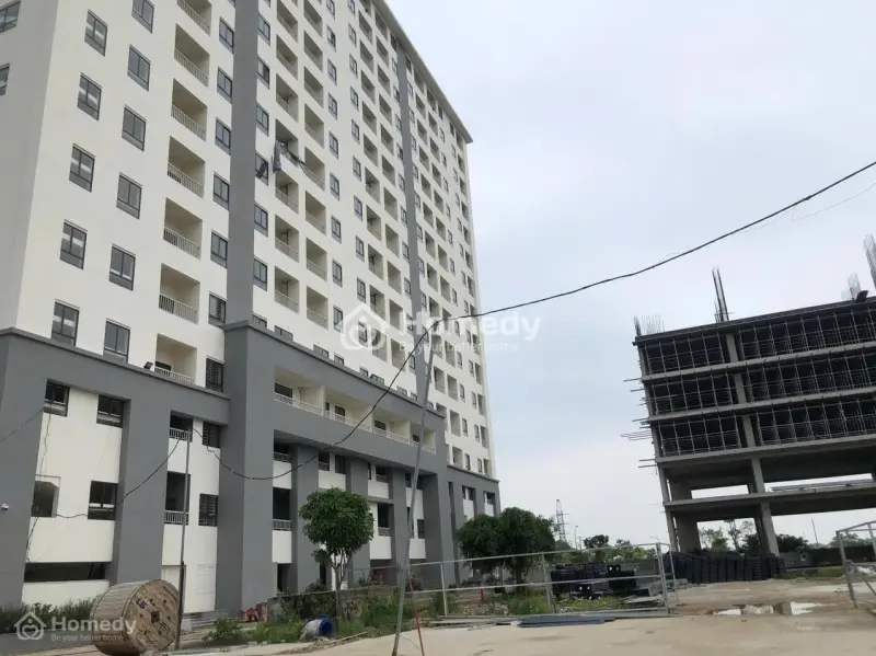 6003665 ảnh đại diện 1