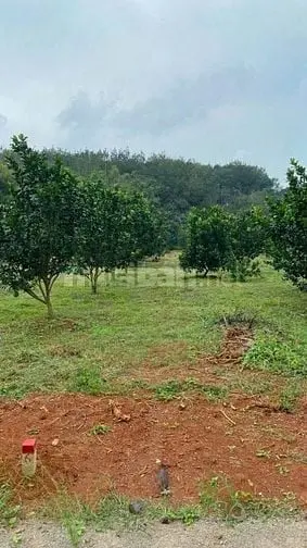 6003225 ảnh đại diện 1