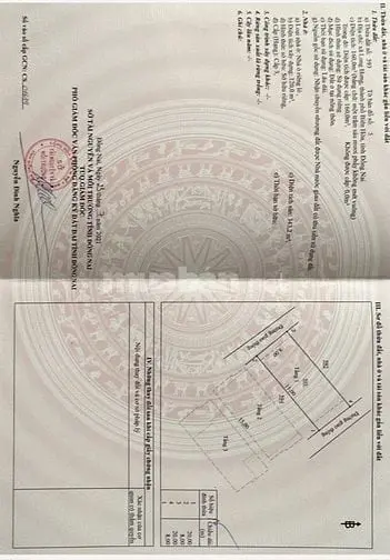 6003379 ảnh đại diện 1