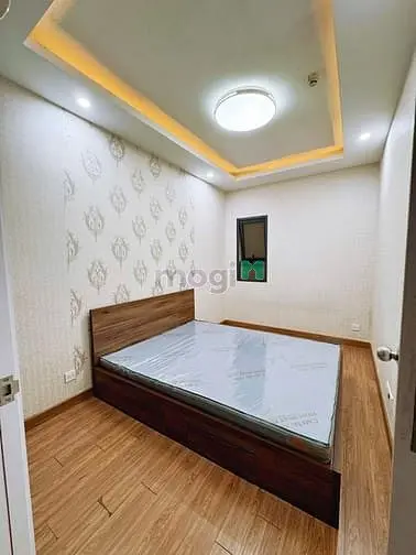 6003783 ảnh đại diện 1