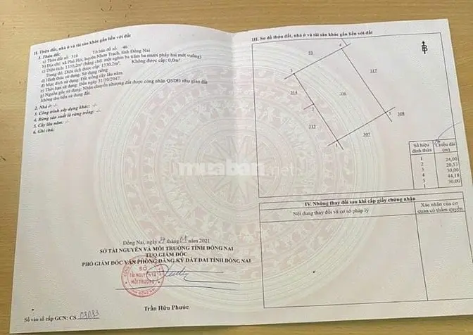 6003492 ảnh đại diện 1
