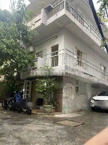 6003158 ảnh đại diện 1