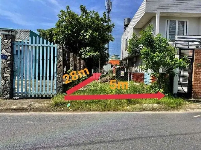 6003395 ảnh đại diện 1