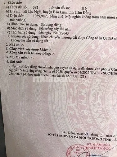6003345 ảnh đại diện 1