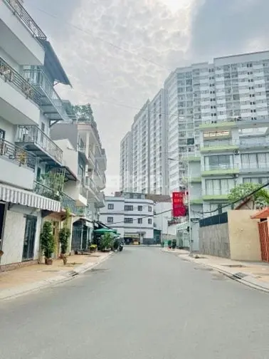 6003666 ảnh đại diện 1