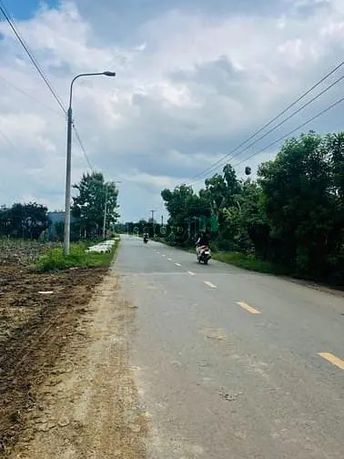 6003289 ảnh đại diện 1
