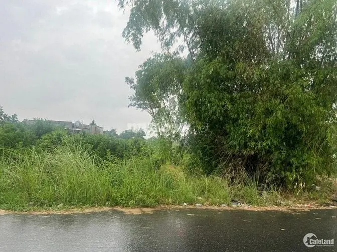 Chào Bán Lô Đất Mặt Tiền Chiều Hồng (Bầu Ốc Thượng), Cẩm Hà Hội An.