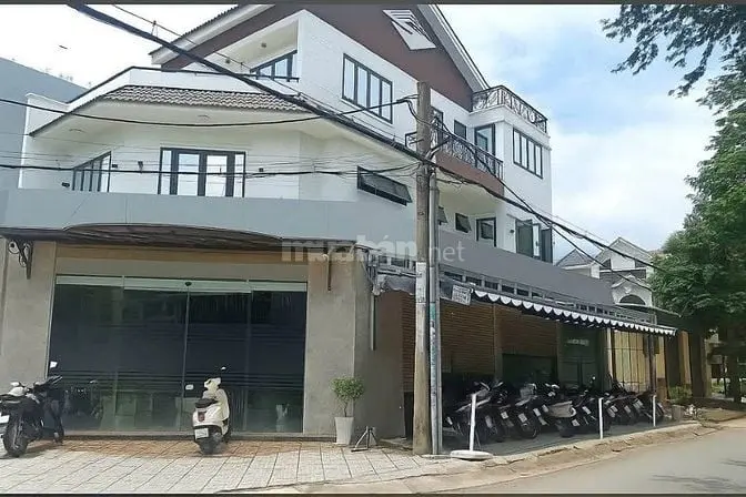 6003398 ảnh đại diện 1