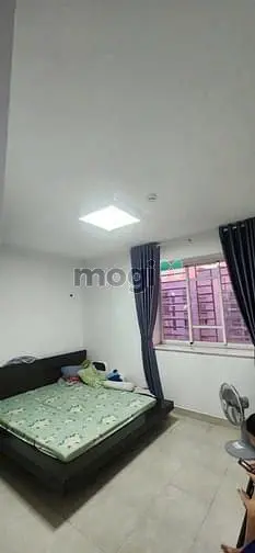 6003788 ảnh đại diện 1