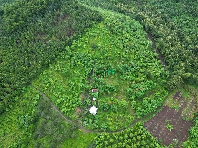 1 Sào Đất Vườn View Sông La Ngà, Trái Cây Đủ Loại