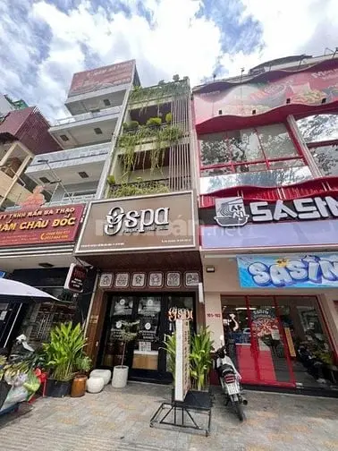 6003644 ảnh đại diện 1