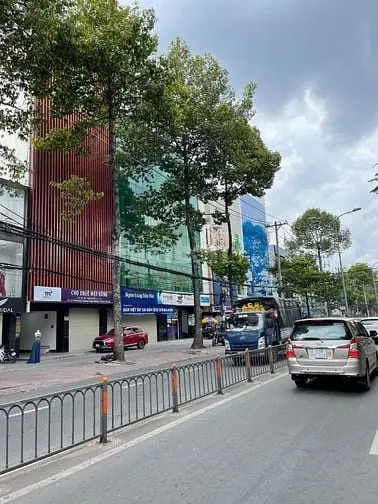 6003641 ảnh đại diện 1
