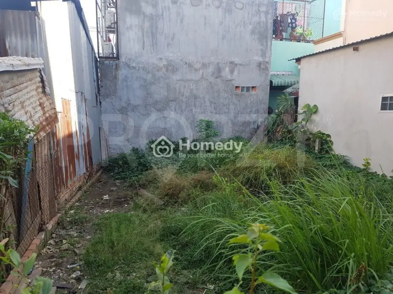 6003589 ảnh đại diện 1