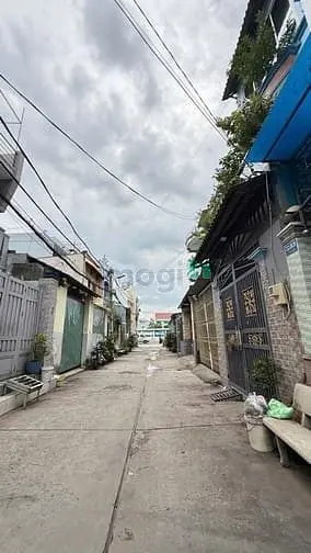 6003266 ảnh đại diện 1