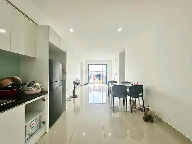 6003715 ảnh đại diện 1