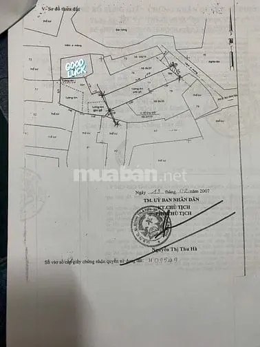 6003370 ảnh đại diện 1