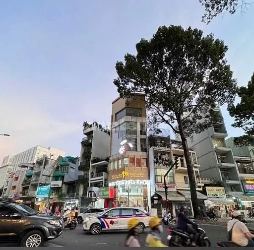 6003375 ảnh đại diện 1
