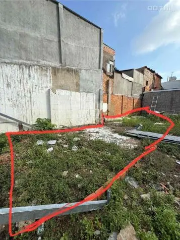 6003561 ảnh đại diện 1