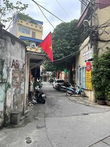 6003682 ảnh đại diện 1