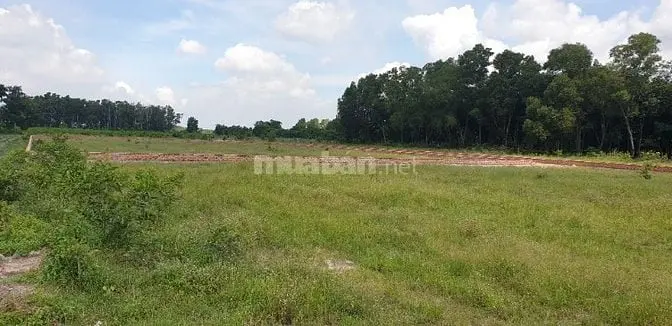 2.5 Tỷ/ Sào Phú Hội Nhơn Trạch Ngay Kim Oanh Cty
