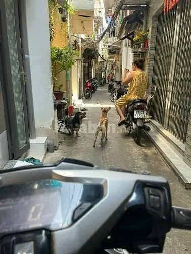 6003619 ảnh đại diện 1