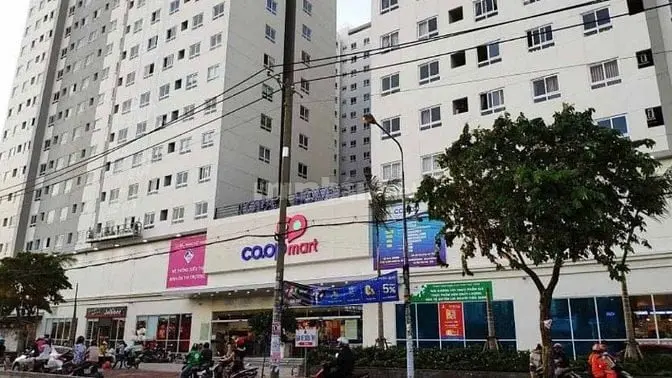 6003450 ảnh đại diện 1