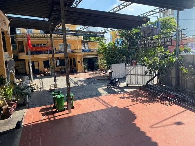 6003191 ảnh đại diện 1