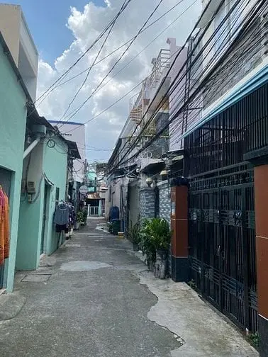 6003512 ảnh đại diện 1