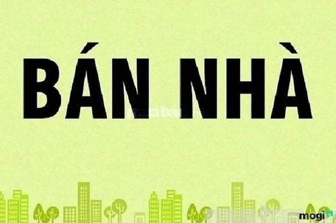 6003290 ảnh đại diện 1