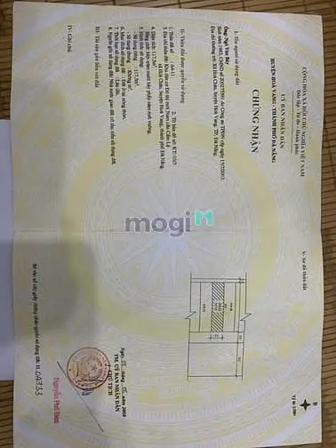 6003549 ảnh đại diện 1